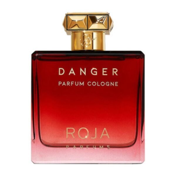 DANGER POUR HOMME - ROJA PARFUMS (100 ml)