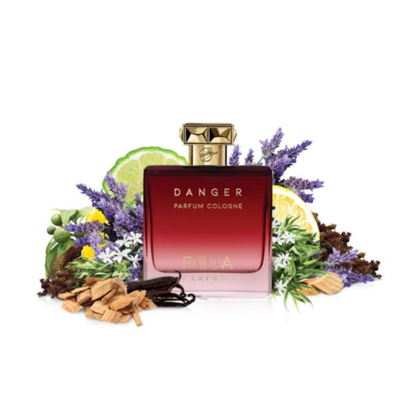 DANGER POUR HOMME - ROJA PARFUMS (100 ml) - Image 2