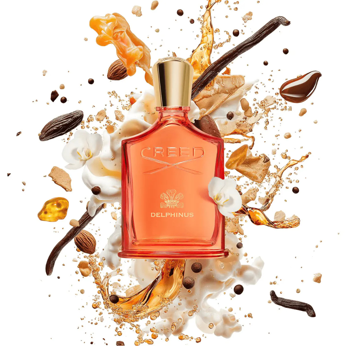 DELPHINUS - CREED (100 ML) - Image 2